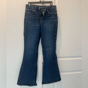 American Eagle Outfitters Dark Blue Curvy High Waisted Skinny